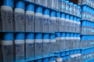 Technical And Environmental Services, water testing